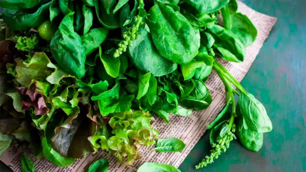 Especialistas garantem que &eacute; melhor consumir magn&eacute;sio na alimenta&ccedil;&atilde;o. Os vegetais verdes s&atilde;o uma grande fonte de mineral.