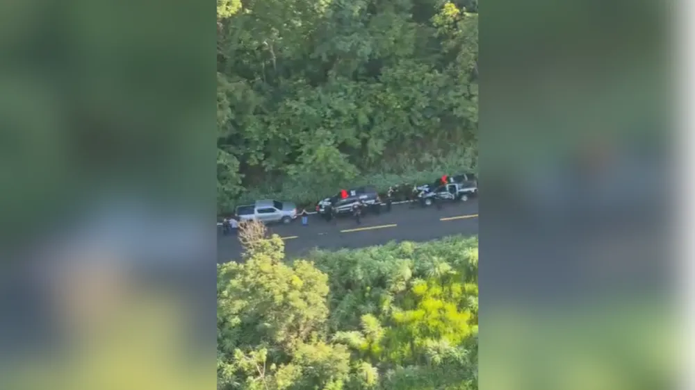 Polícia encontra corpo de corretora desaparecida em área de mata • Reprodução