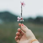 (Foto: Thirteen .J / Unsplash)