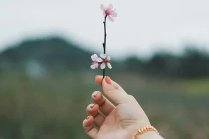 (Foto: Thirteen .J / Unsplash)