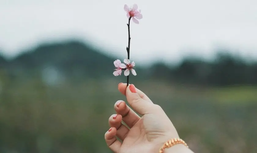 (Foto: Thirteen .J / Unsplash)